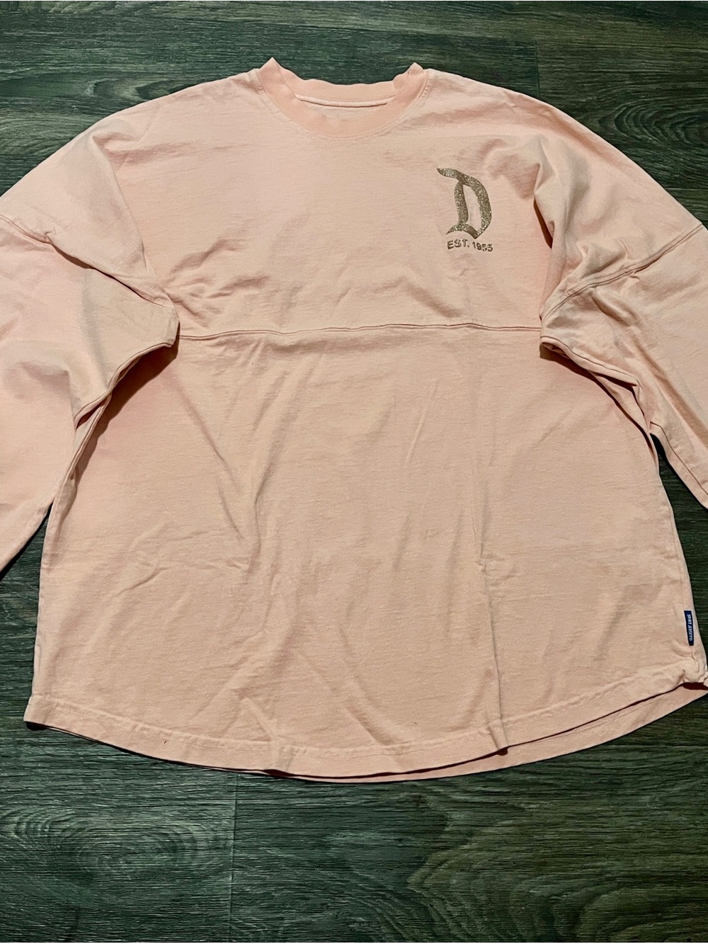 ✨ Disneyland Resort Spirit Jersey – Size Large ✨